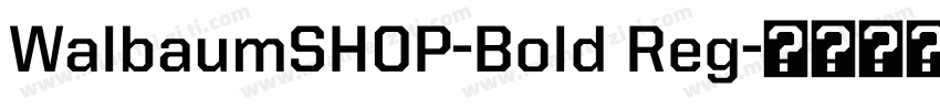 WalbaumSHOP-Bold Reg字体转换